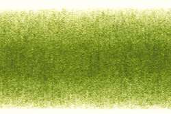 Derwent Procolour 50 mosgroen
