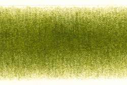Derwent Procolour 51 follage