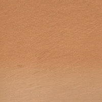Derwent Tinted charcoal - TC02 burnt orange