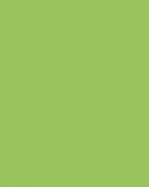 Etalage karton - neon groen