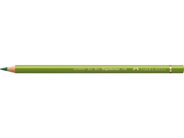 Faber-Castell Polychromos - 168 earth green yellowish