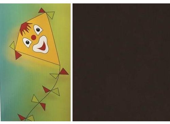 Folia vliegerpapier 70 x 100 zwart