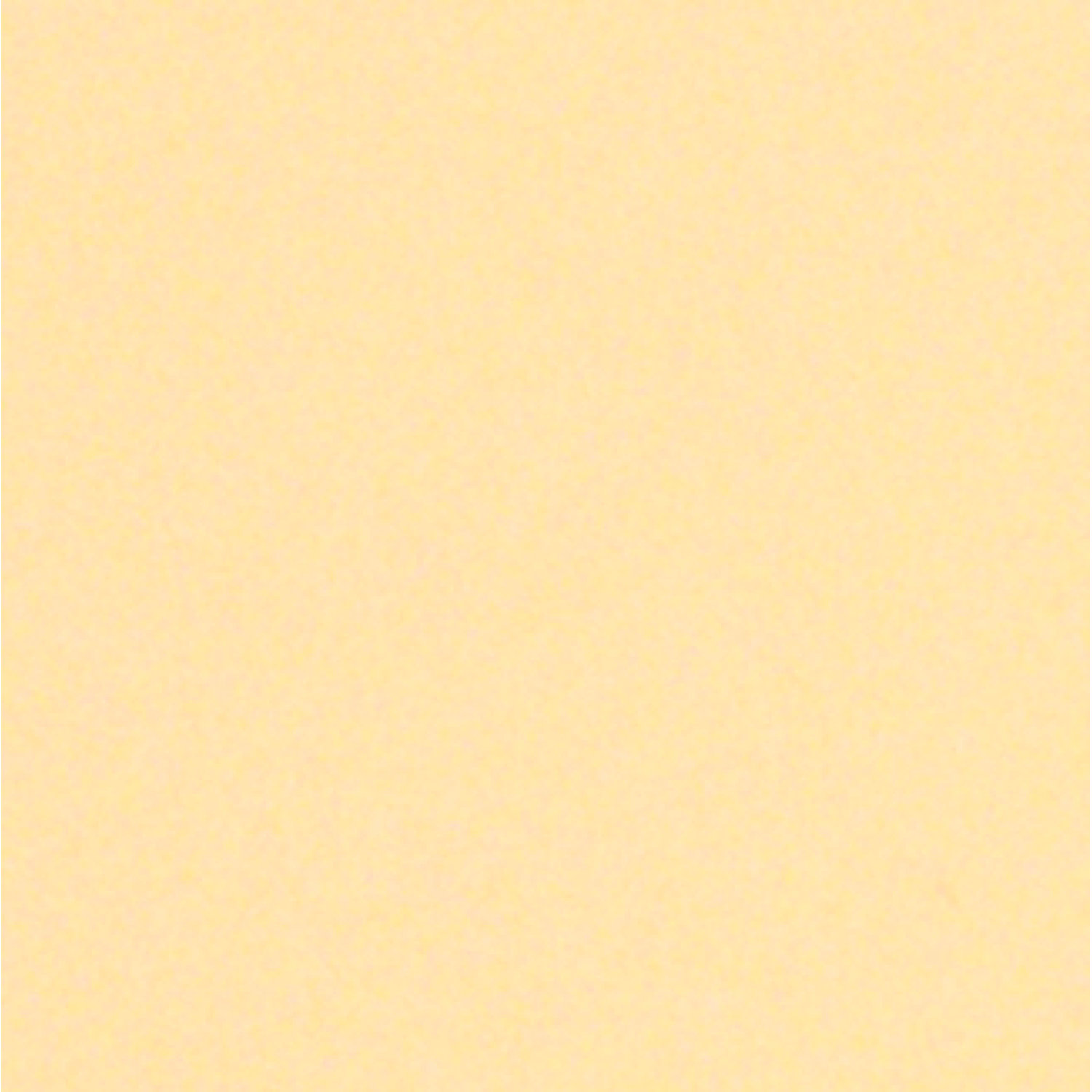 Hahnemhle lana pastelpapier 160gr 50 x 65 ivoor - alleen afhalen Veenendaal
