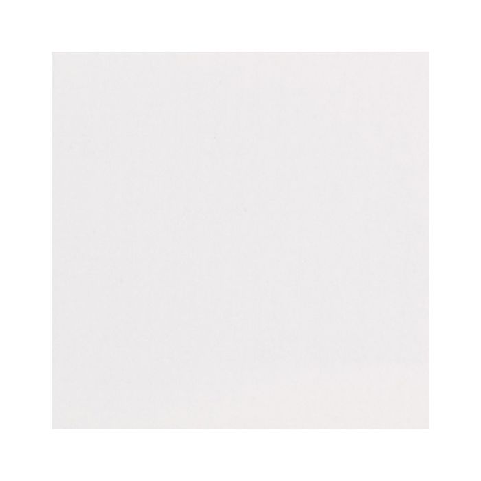 Hahnemhle lana pastelpapier 160gr 50 x 65 wit - alleen afhalen Veenendaal