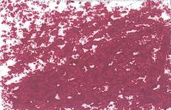 Jaxon 1000 oliepastel - rood bruin