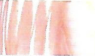 Lyra aqua brush duo - 030 huidskleur donker