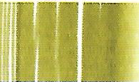 Lyra aqua brush duo - 074 sapgroen