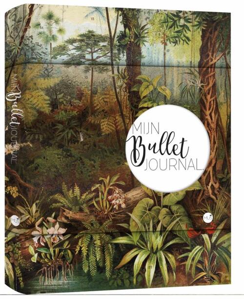 Mijn Bullet Journal, Nicole Neven