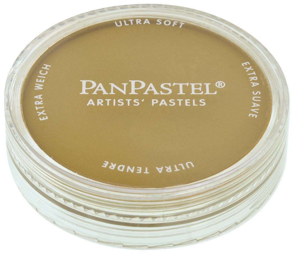 PanPastel - 270.3 yellow ochre shade