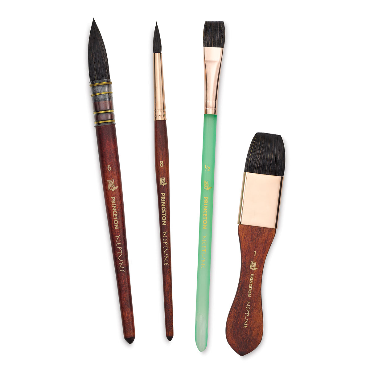 Princeton neptune professional box