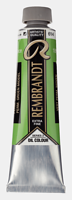 Rembrandt olieverf 40ml - S3 614 permanent groen middel