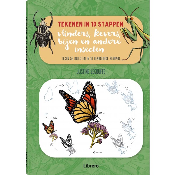 Tekenen in 10 stappen - Vlinders, kevers, bijen en andere insecten - Justine Lecouffe