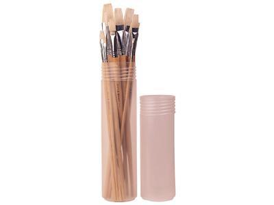 Vincent varkensharen penselenset incl. koker