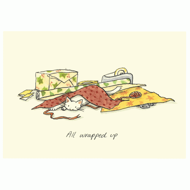 Wenskaart - all wrapped up, Anita Jeram