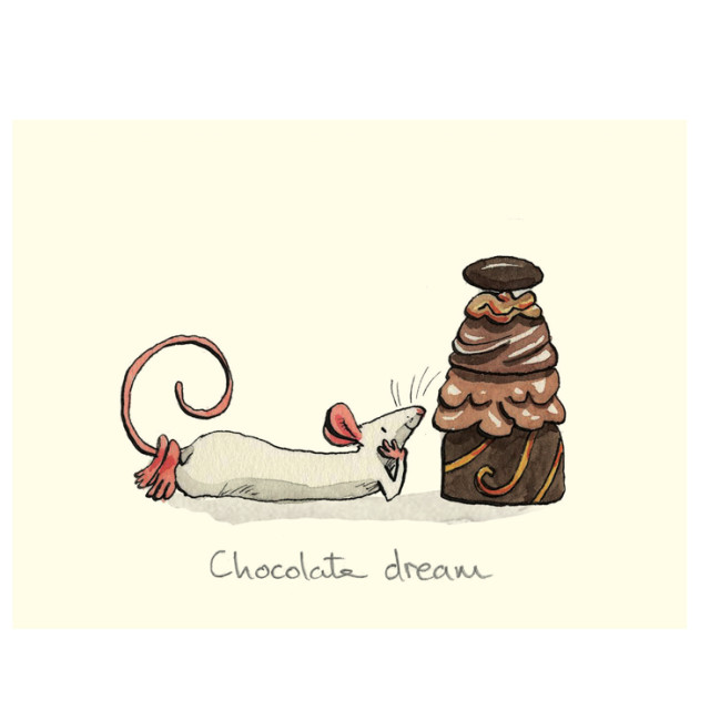 Wenskaart - Chocolate dream, Anita Jeram