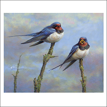 Wenskaart Erik van Ommen - Boerenzwaluwen - 15 x 15