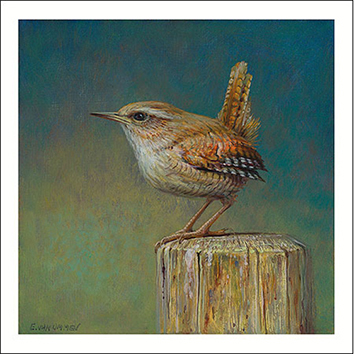 Wenskaart Erik van Ommen - winterkoninkje - 10x10