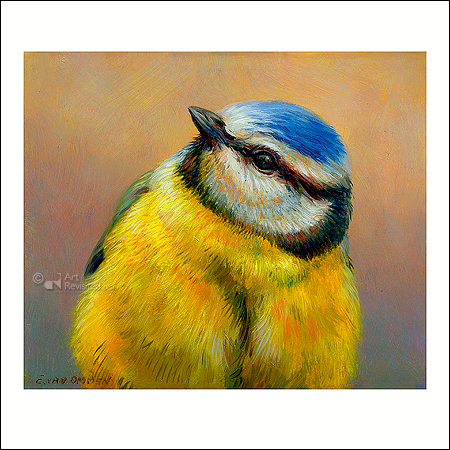 Wenskaart Erik van Ommeren - Pimpelmees - 10 x 10