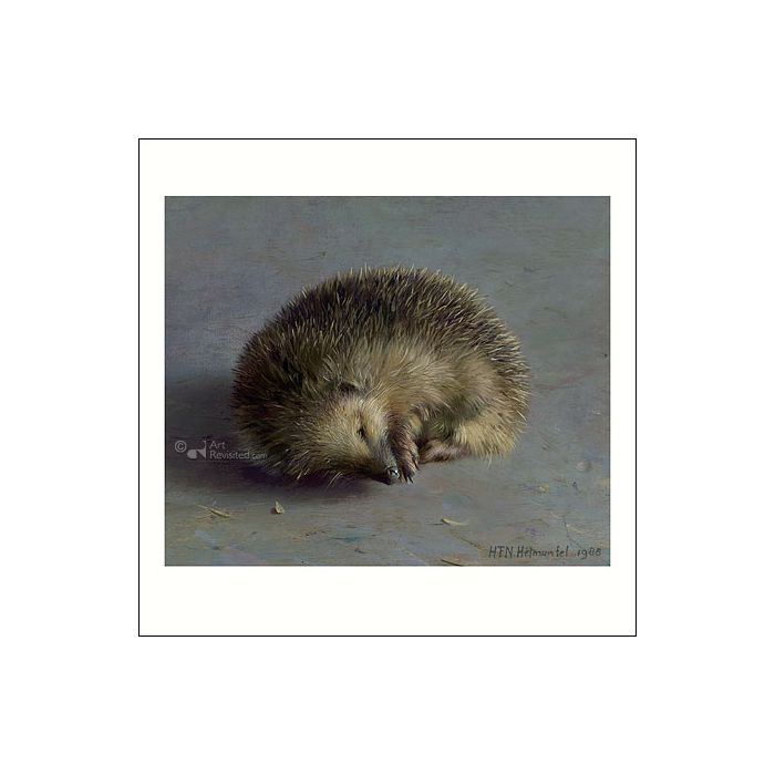 Wenskaart Henk Helmantel - Egeltje - 10x10