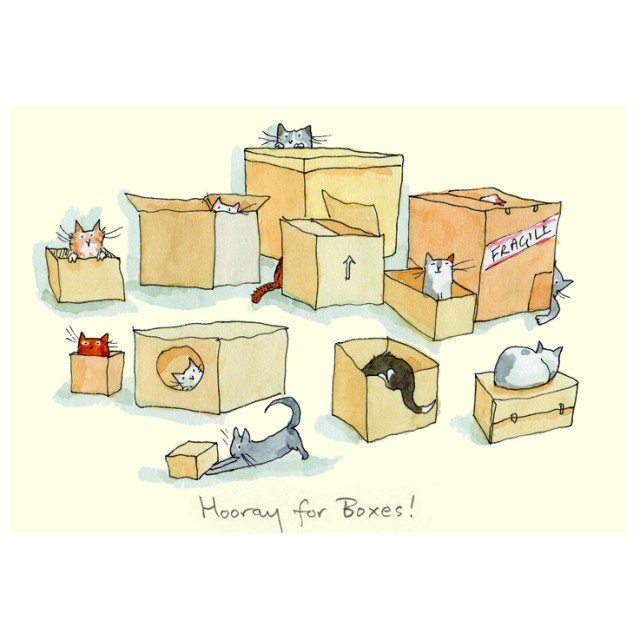 Wenskaart - Hooray for boxes, Anita Jeram