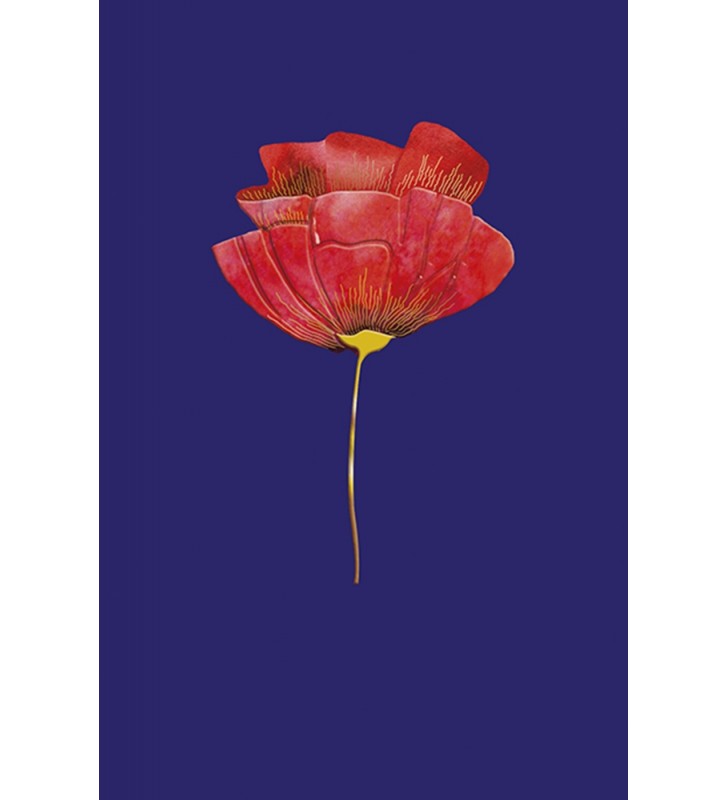 Wenskaart Icones - NO67