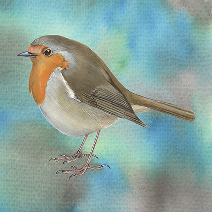 Wenskaart Jasper de Ruiter - Roodborst