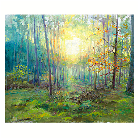 Wenskaart Keimpe van der Kooi - Bospad - 15 x 15