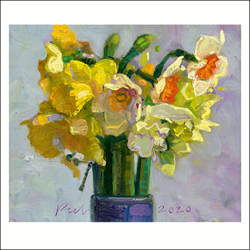 Wenskaart Peter Sebens – Narcissen - 15 x 15