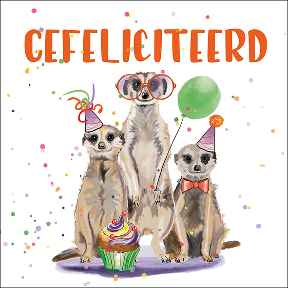 Wenskaart Petit Paris Illustraties - Gefeliciteerd