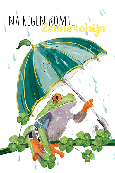 Wenskaart Petit Paris Illustraties - na regen komt zonneschijn