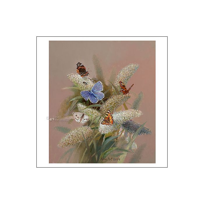 Wenskaart Rein Pol - vlinderstruik - 15 x 15