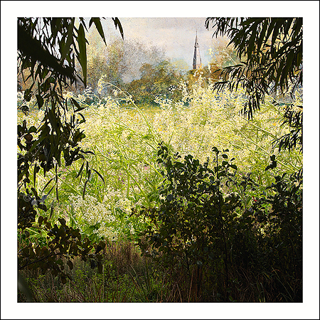 Wenskaart Saskia Boelsums - Landscape #223 - 15 x 15
