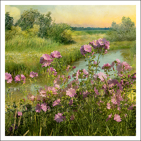 Wenskaart Saskia Boelsums - Landscape flowers #02 - 15 x 15