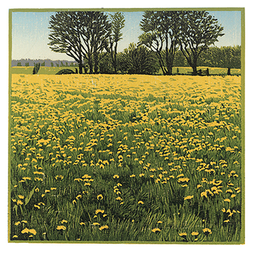 Wenskaart Siemen Dijkstra - Over Elyzeese velden - 15 x 15