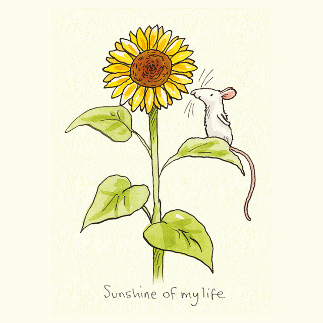 Wenskaart - Sunshine of my life, Anita Jeram