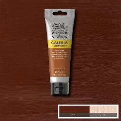 Winsor & Newton Galeria acryl 120ml - 074 gebrande sienna