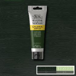 Winsor & Newton Galeria acryl 120ml - 311 hooker's groen