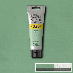 Winsor & Newton Galeria acryl 120ml - 435 pale olive