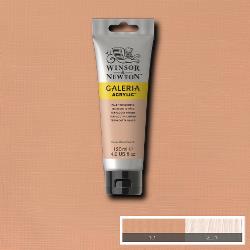 Winsor & Newton Galeria acryl 120ml - 437 pale terracotta