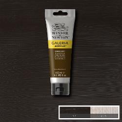 Winsor & Newton Galeria acryl 120ml - 676 vandijke bruin