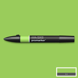 Winsor & Newton promarker - G258 leaf green