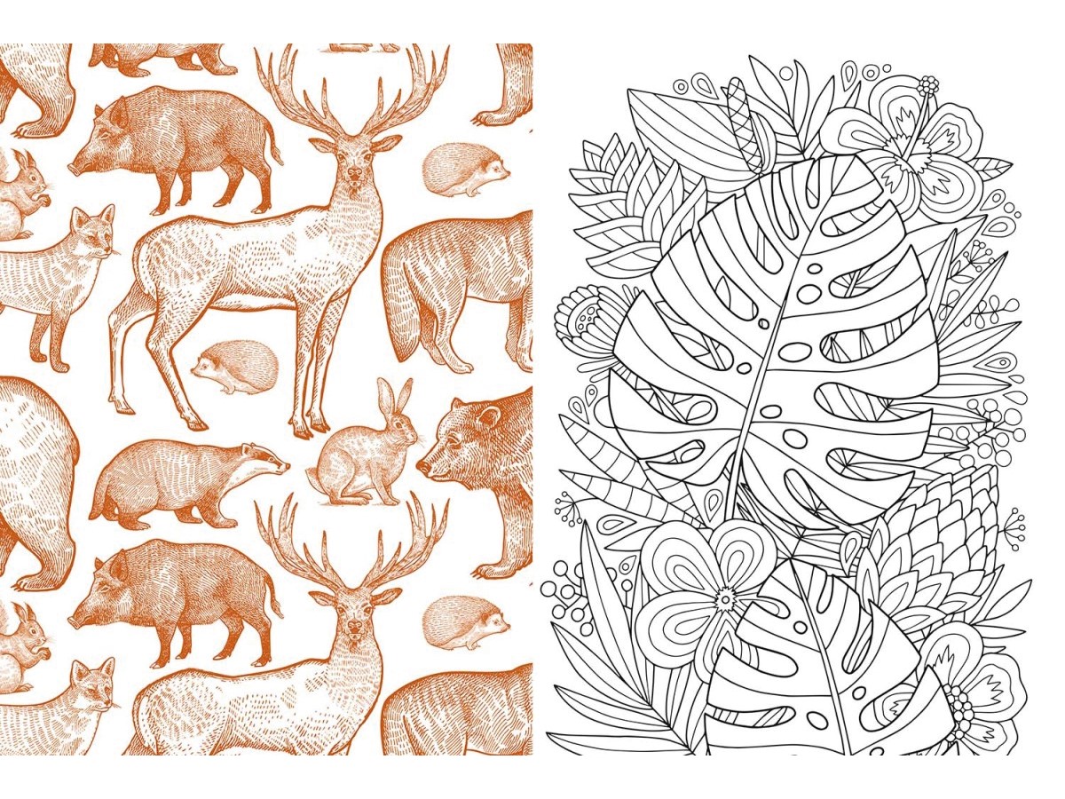 Flora & fauna sticker-, kleur- en activiteitenboek