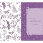 Rariteiten & curiosa sticker-, kleur- en activiteitenboek