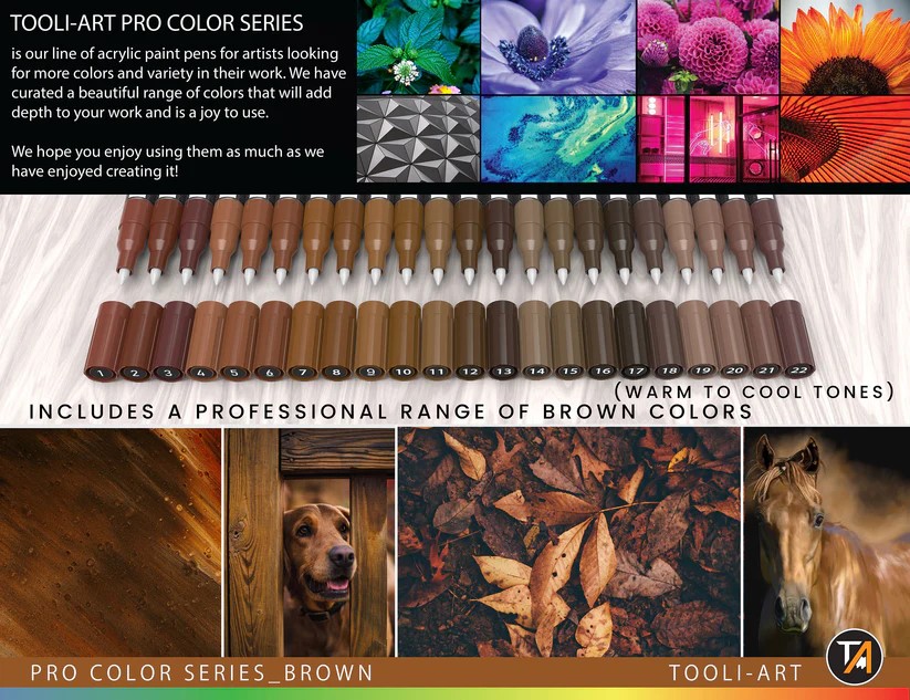 Tooli-art acrylstiften - set 22 bruin