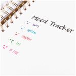Bullet Journaling Stencils - Emoties