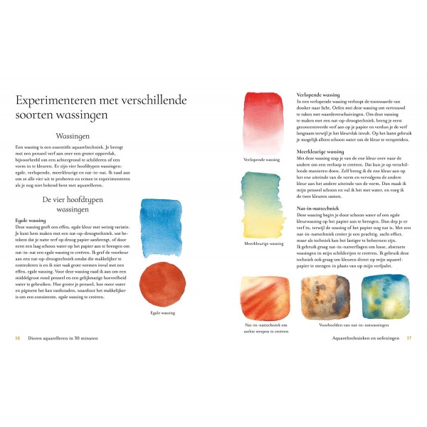 Dieren aquarelleren in 30 minuten