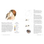 Dieren aquarelleren in 30 minuten