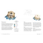 Dieren aquarelleren in 30 minuten