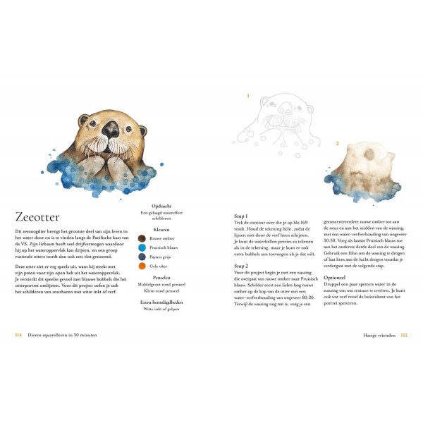 Dieren aquarelleren in 30 minuten