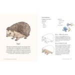 Dieren en planten uit het bos aquarelleren - Jane Carkill